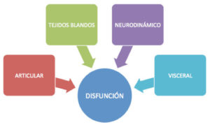 Alergias alimentarias y dolor visceral CasaFen