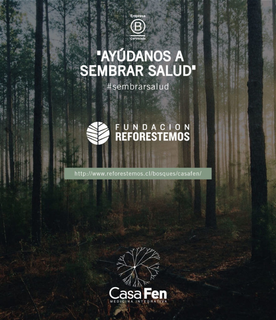Alianza CasaFen – Reforestemos Patagonia - Afiche @estudio_praga