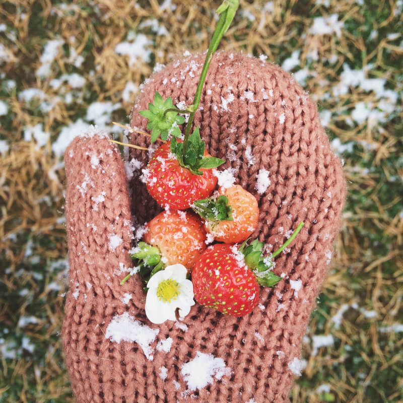 Comer Verduras en Invierno CasaFen - Photo by letterberry on Reshot