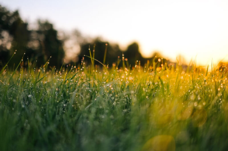 Meditación, La práctica de nuestra atención CasaFen - Photo by Jonas Weckschmied on Unsplash