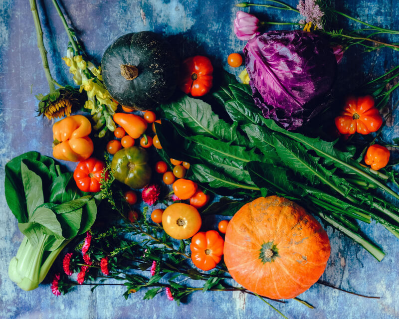 Nutrición integrativa CasaFen - Photo by Ella Olsson on Pexels