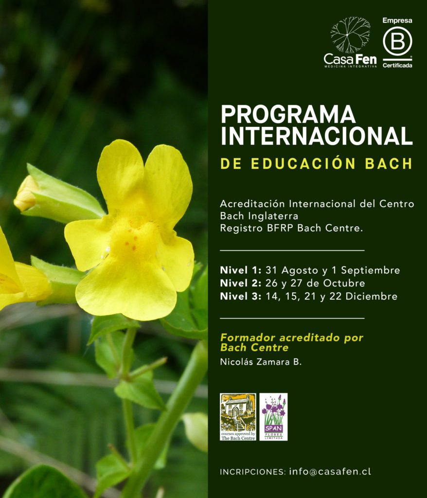 Programa Internacional de Educación Bach (BIEP)