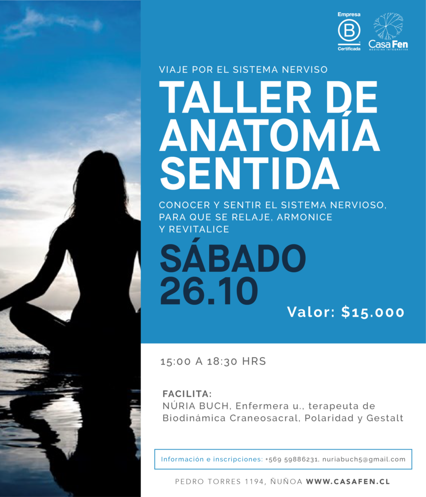 Taller anatomia sentida, viaje por el sistema nervioso