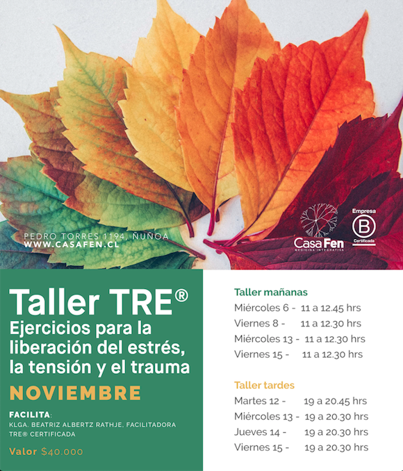 TRE noviembre - CasaFen