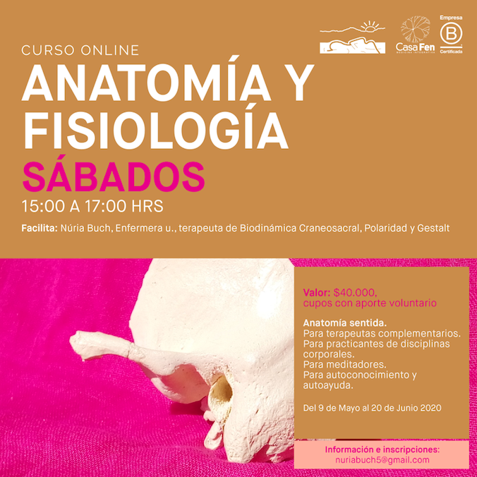 Curso online anatomía y fisiología - CasaFen