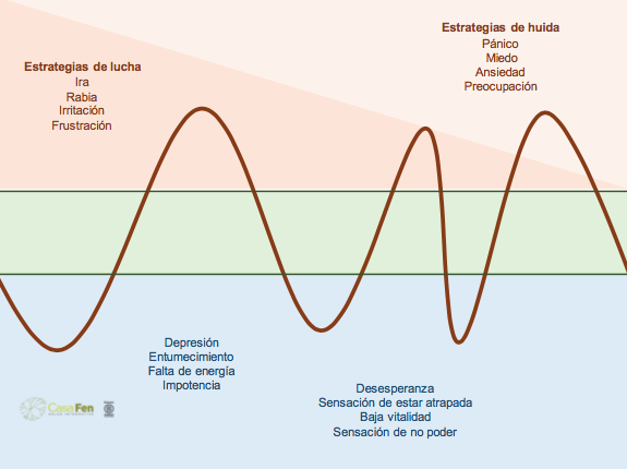 Entendiendo nuestras reacciones de estrés y supervivencia - CasaFen 7