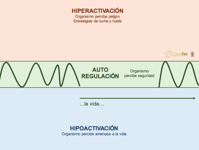 Entendiendo nuestras reacciones de estrés y supervivencia - CasaFen 7