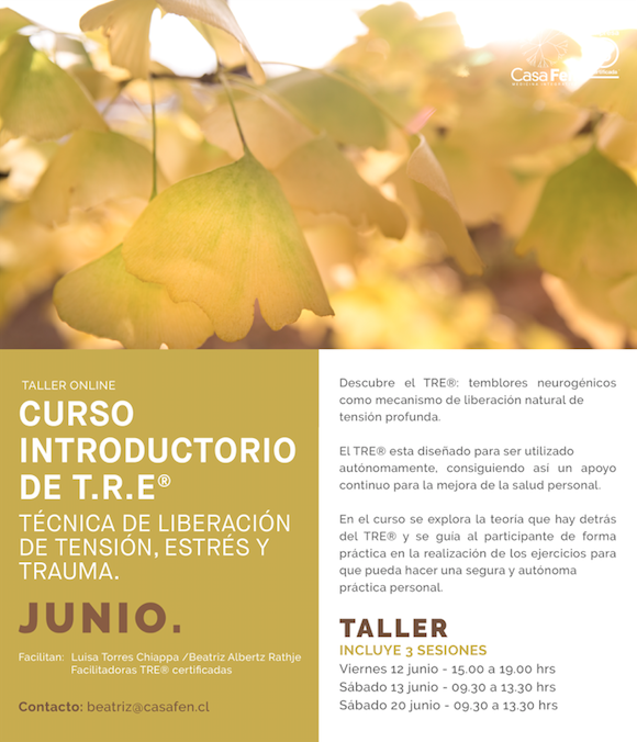 Curso introductorio TRE online, junio - CasaFen