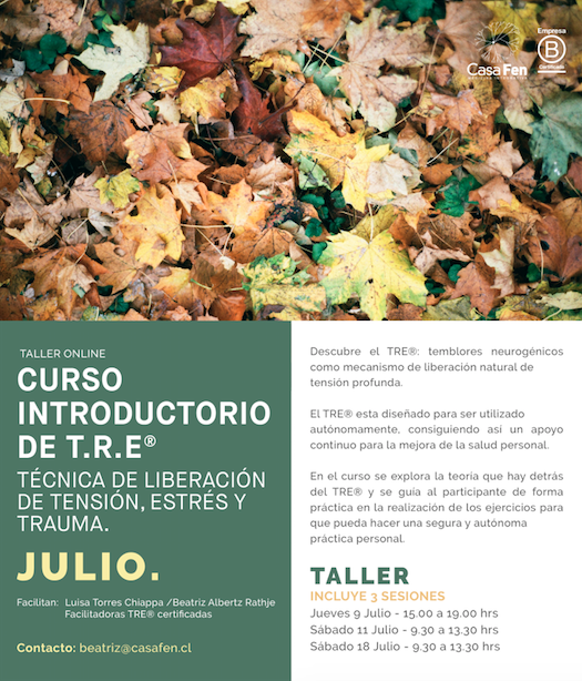 Taller TRE® Julio - CasaFen