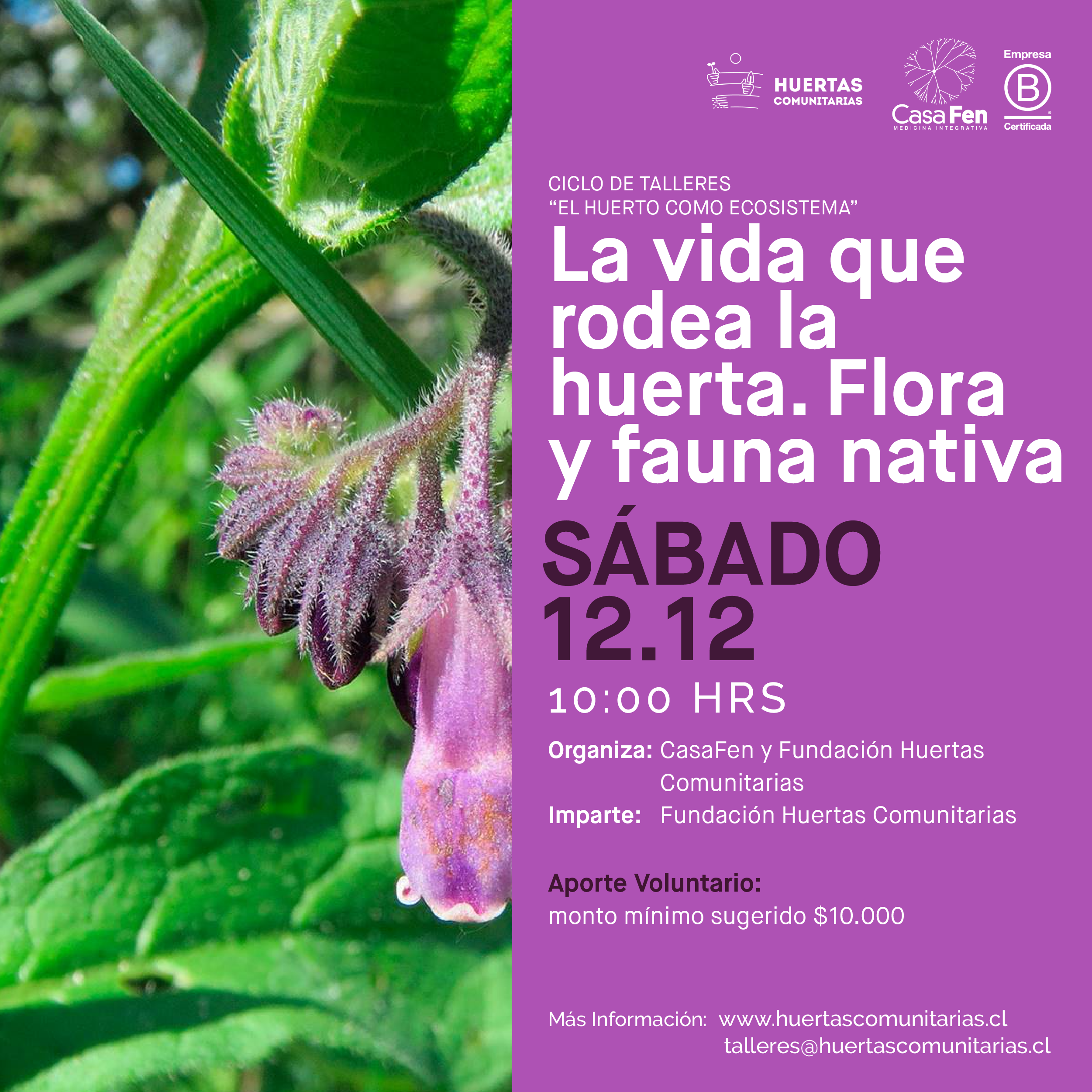 Taller de Huertos La vida que rodea la huerta. Flora y fauna nativa-CasaFen