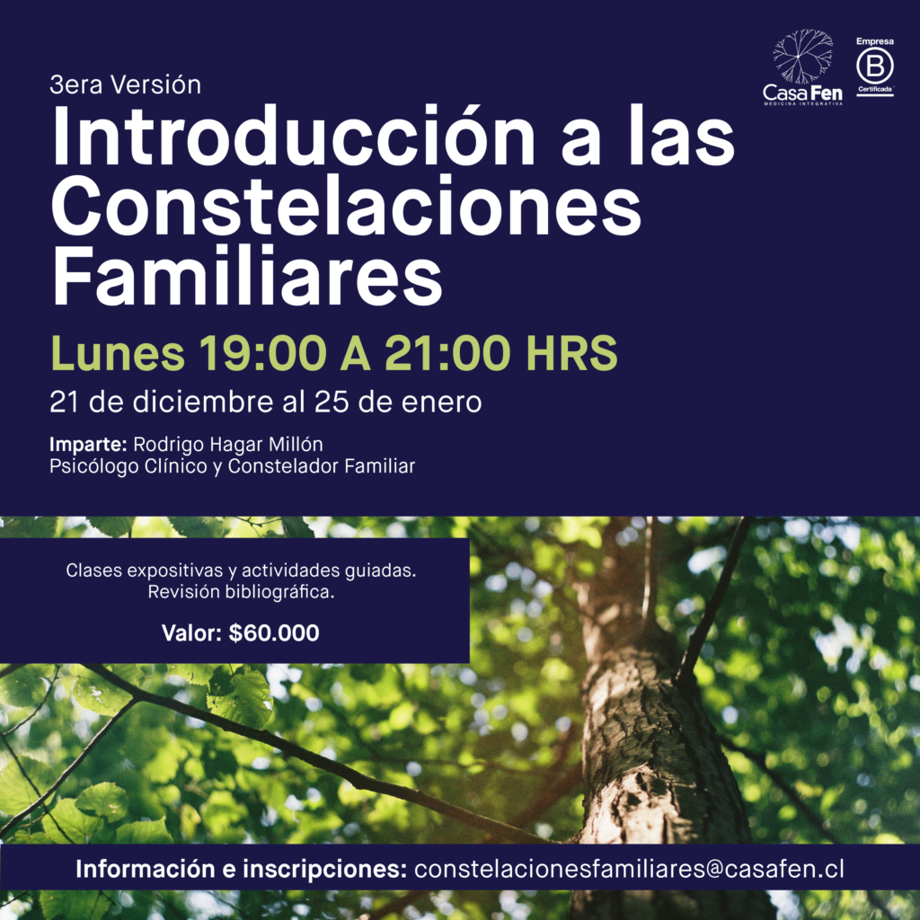 Introducción Constelaciones-CasaFen