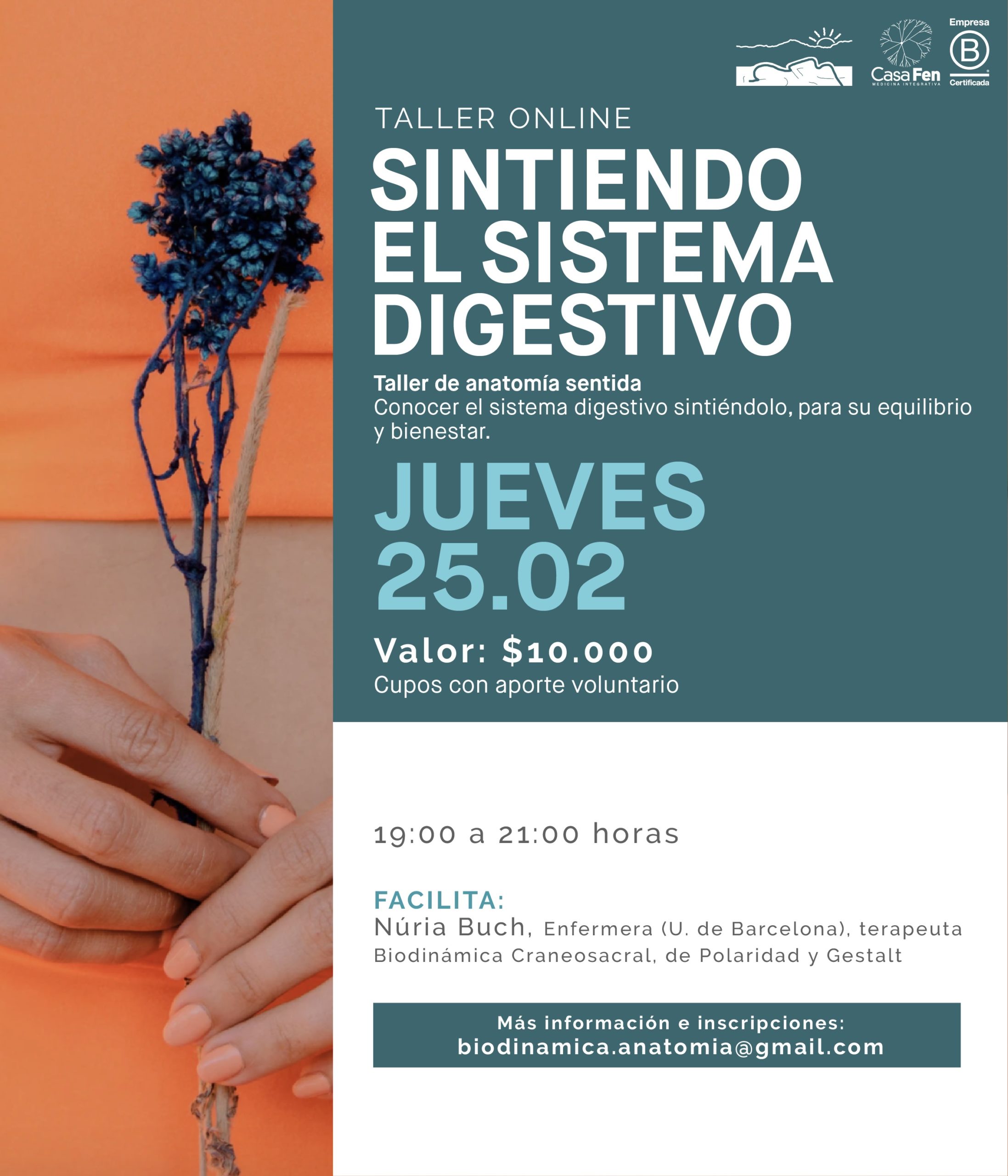 Taller online sintiendo el sistema digestivo-CasaFen