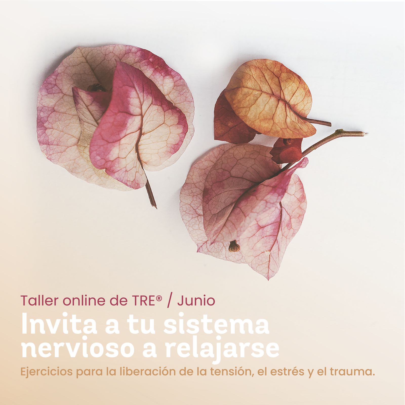 Taller TRE® ejercicios para la liberacion de la tensión el estrés y el trauma - casafen 1