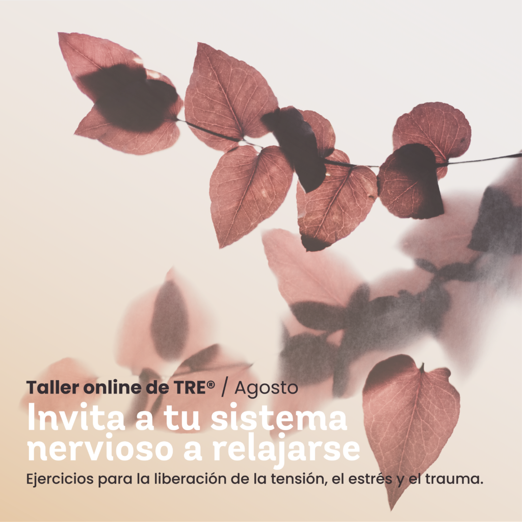 Taller TRE online agosto