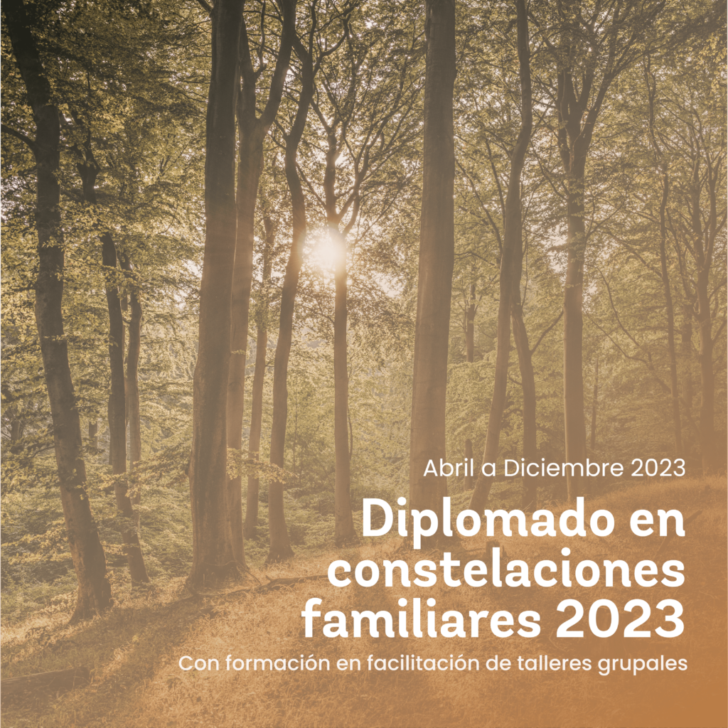 Diplomado Constelaciones 2023