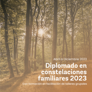 Diplomado Constelaciones 2023