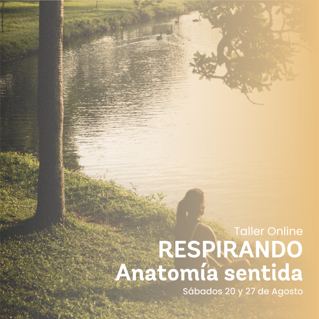 Respirando - Anatomia sentida