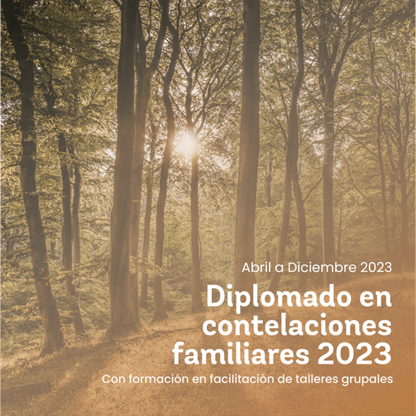 Diplomado Constelaciones Familiares 2023