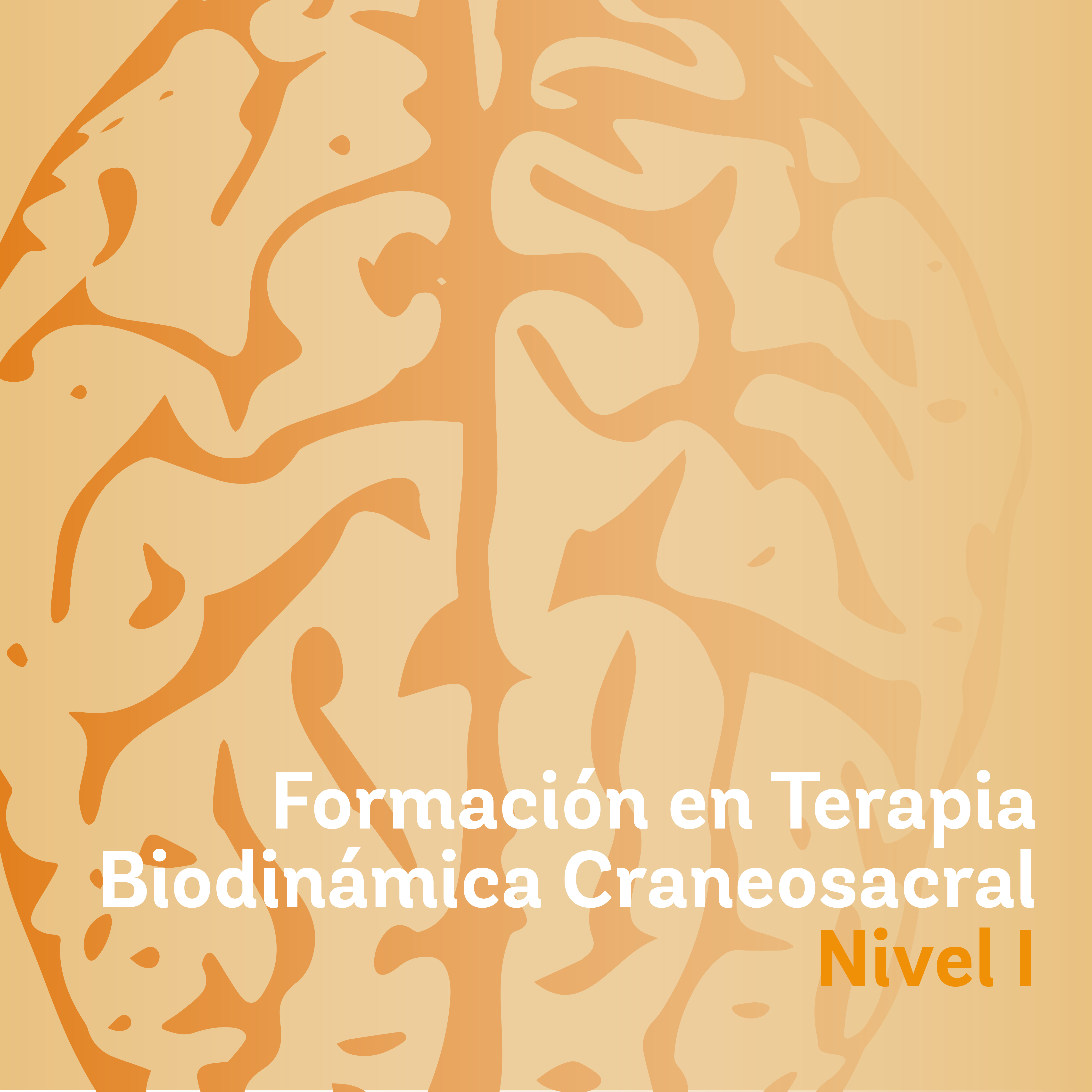 Biodinamica craneosacral 2023
