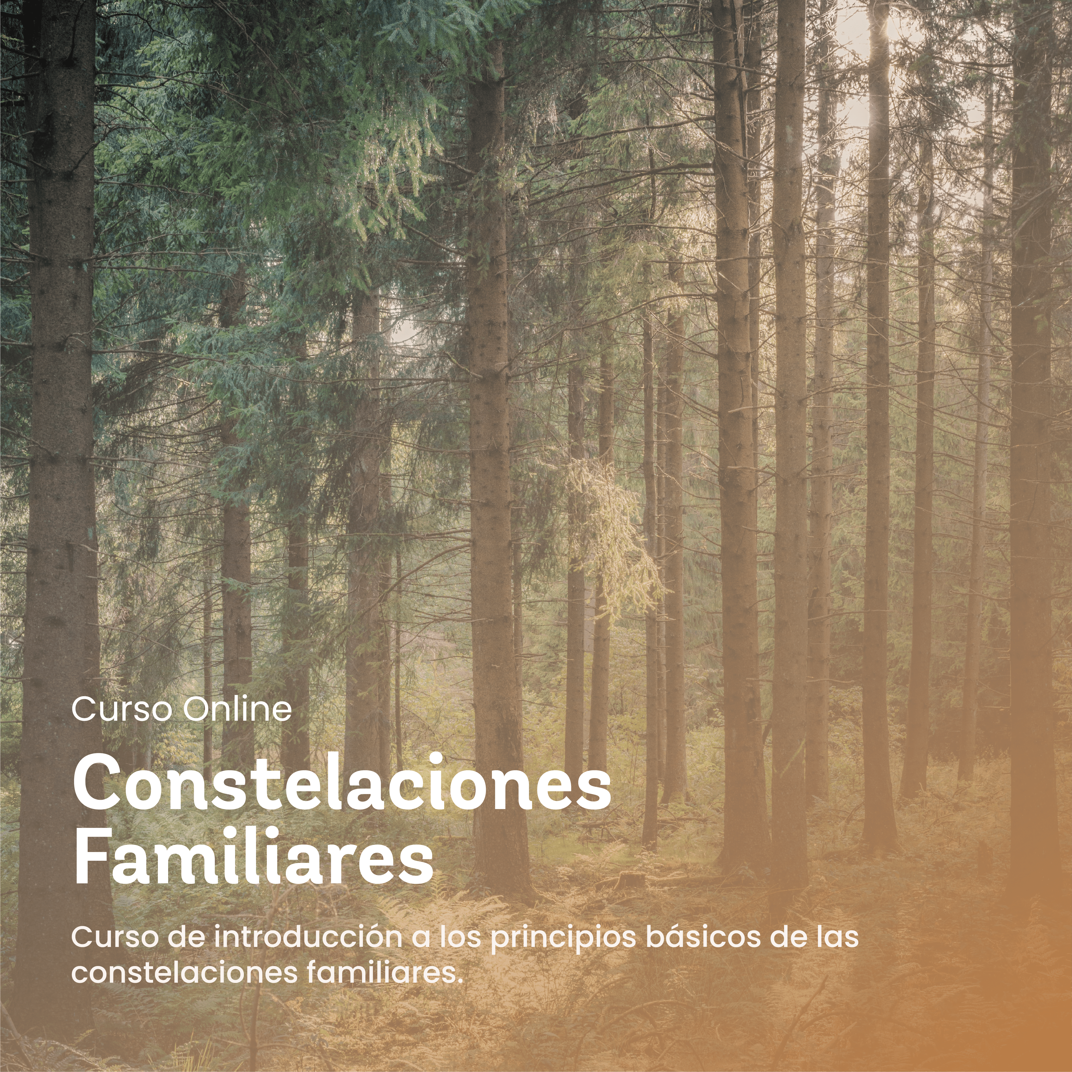 Curso online constelaciones familiares