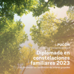 Diplomado constelaciones familiares casafen pucon