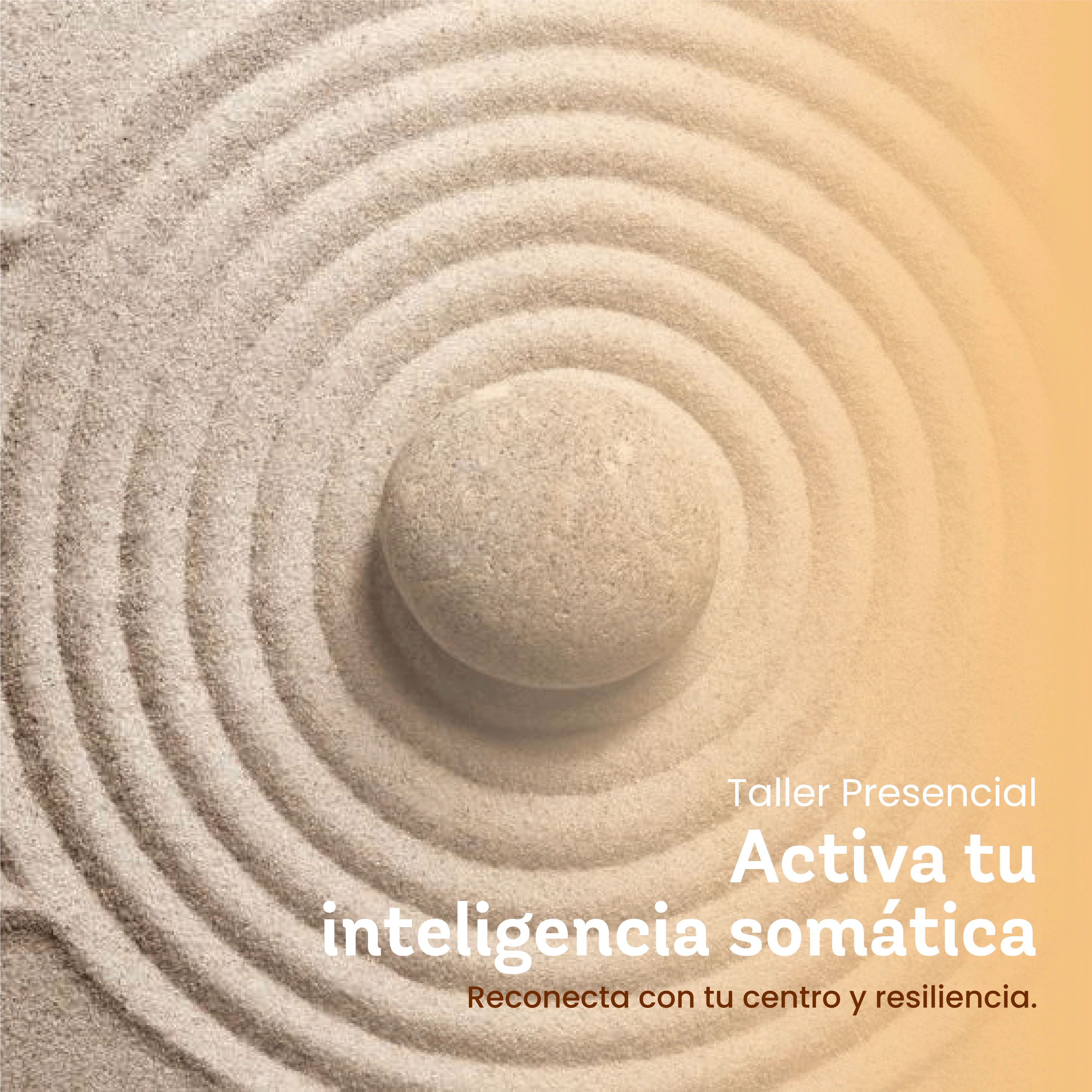 Activa tu inteligencia somática - CasaFen