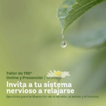 Taller-TRE®-Marzo-CasaFen 3