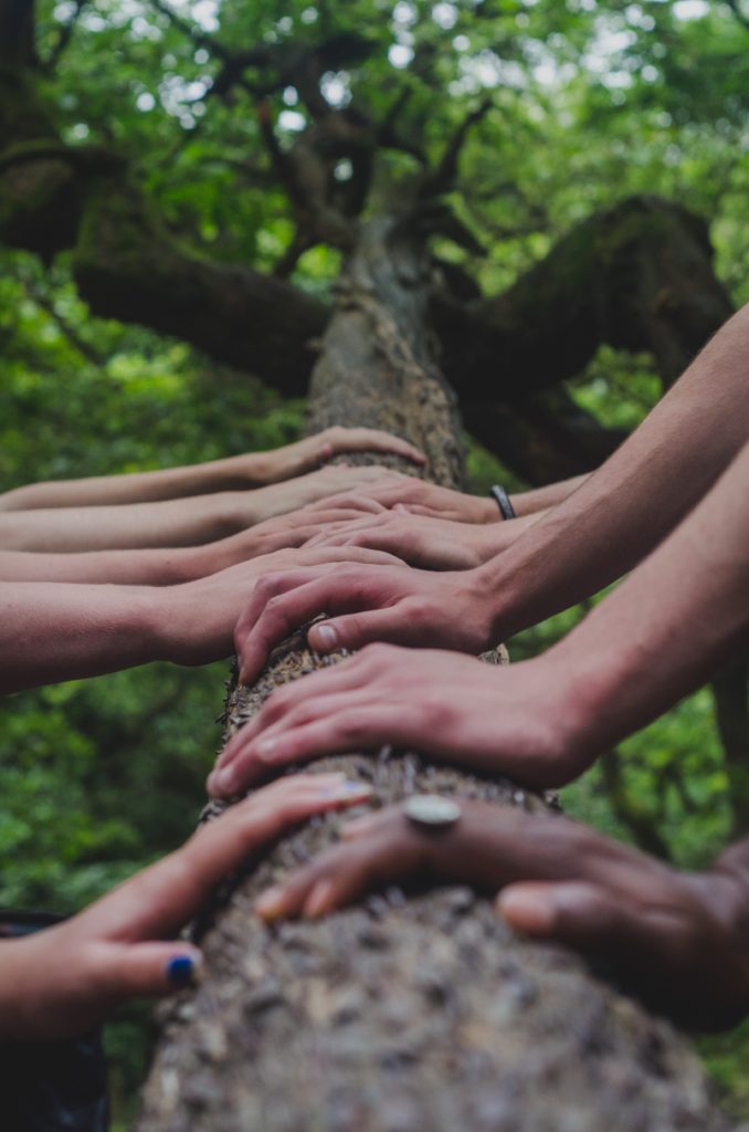 Reconociendo-el-poder-curativo-de-la-naturaleza - CasaFen