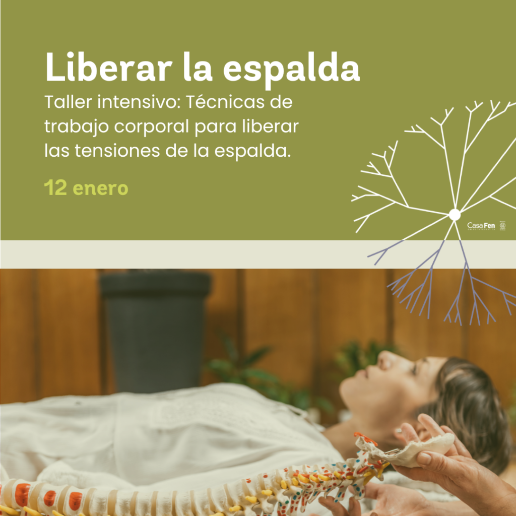 Liberar la espalda - trabajo corporal - CasaFen