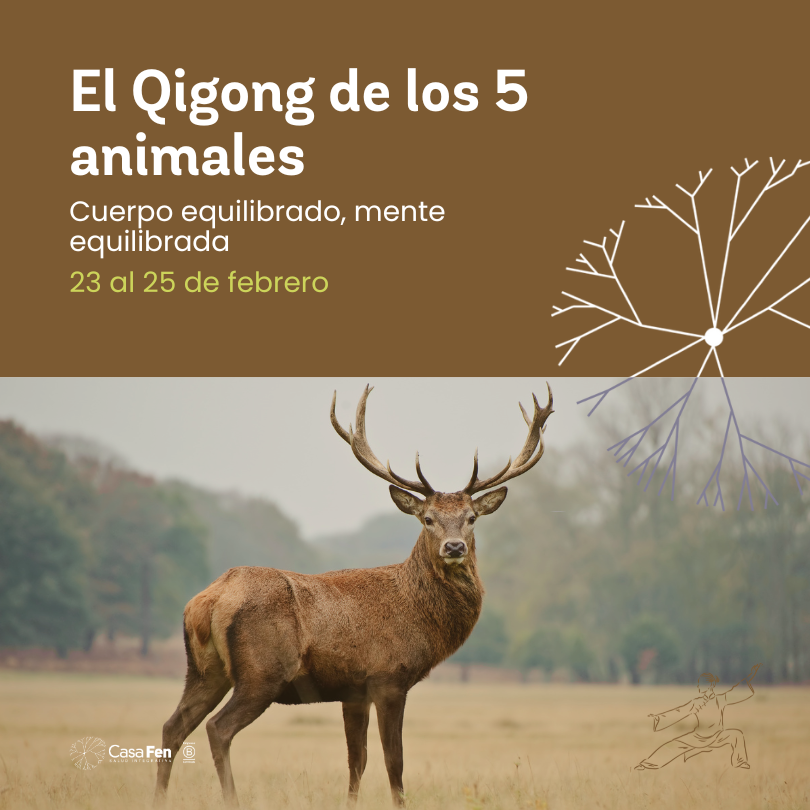 El Qigong de los Cinco Animales - CasaFen