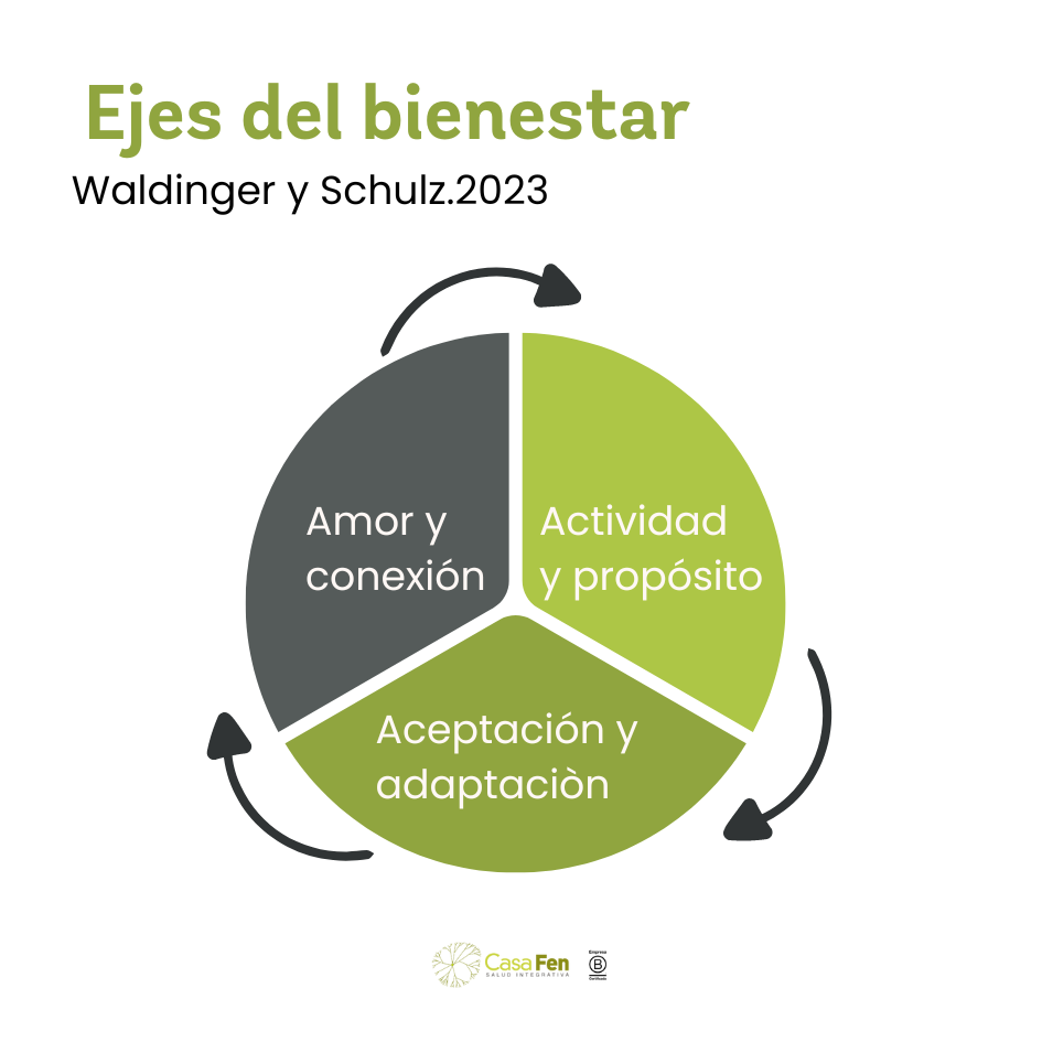 Ejes-del-bienestar-Waldinger-y-Schulz.2023-CasaFen-