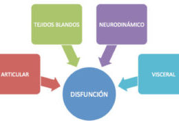 Alergias alimentarias y dolor visceral CasaFen