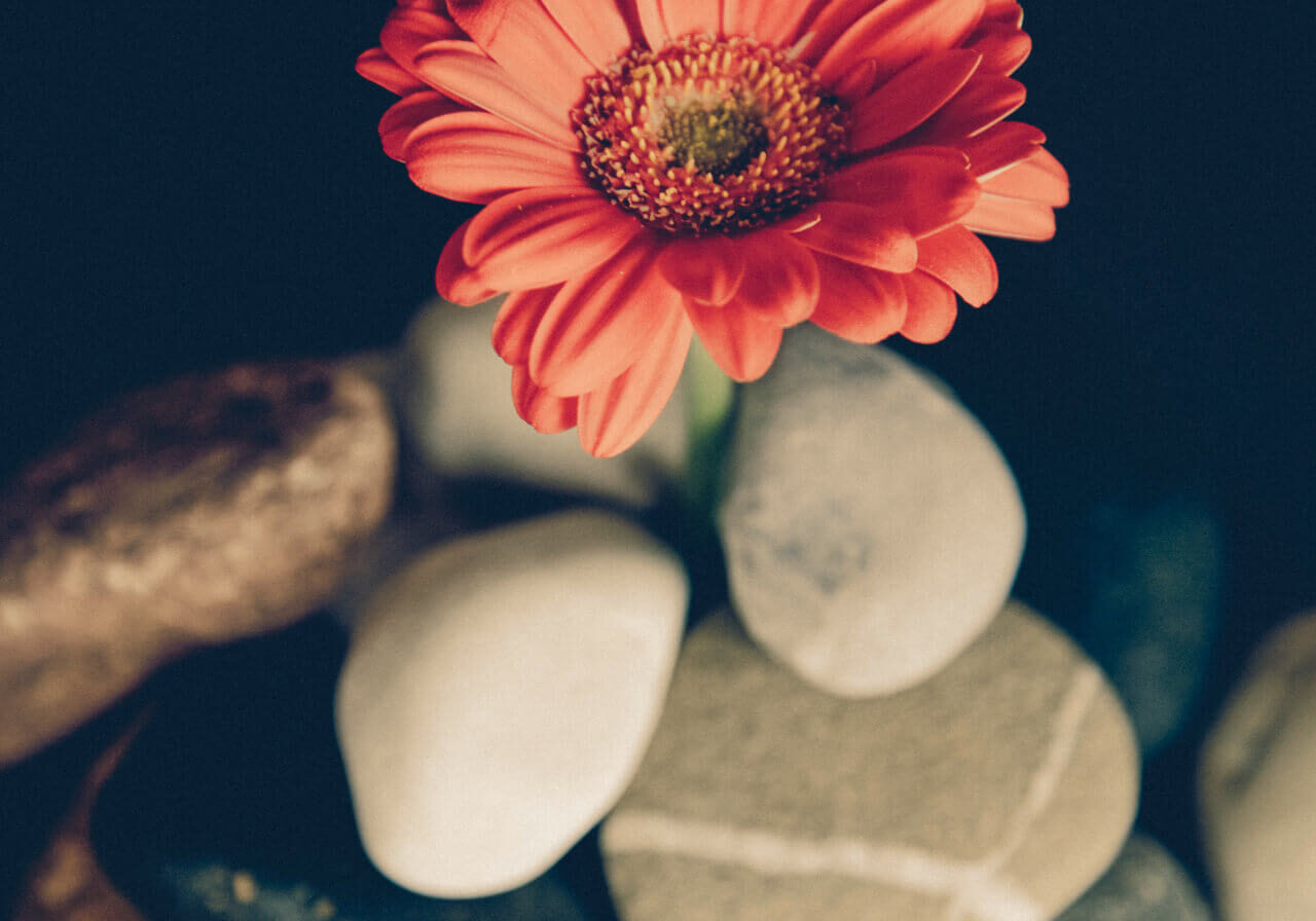 Biomagnetismo CasaFen 2 - Photo by Markus Spiske on Unsplash