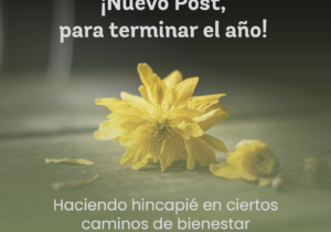 Ana Caceres