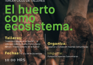 Taller El huerto como ecosistema-CasaFen