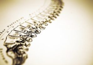 Terapia biodinamica craneosacral - CasaFen